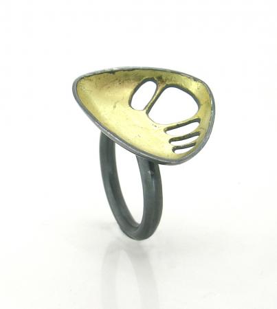 medium xylem ring