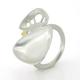 xylem double ring