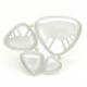 xylem brooch