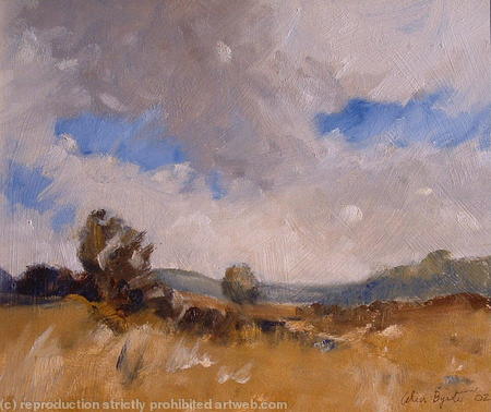 Summer Meadow
