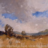Summer Meadow - Oil on Board