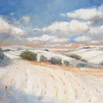Stubble under Snow