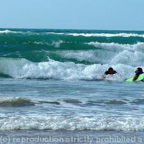 The Surfers