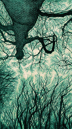 upfromtheforestfloor