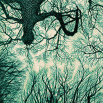 upfromtheforestfloor