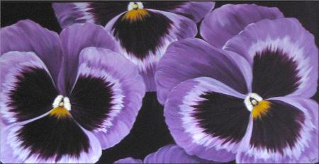 Pansy Paradise