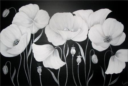 Cotton Poppies