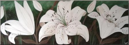 Tracy's Lilies