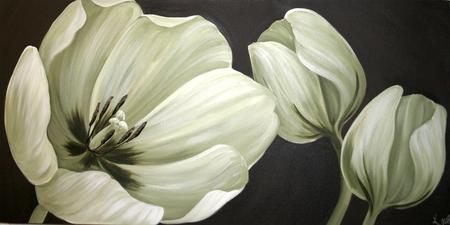 Kevins Tulips