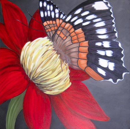 Busy Butterfly