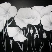 Cotton Poppies