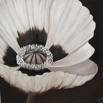 Chocolate Poppy