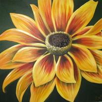 Black-eyed Susan