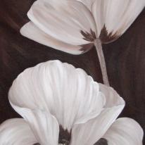 Chocolate Poppies