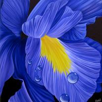 Blue Beauty