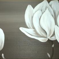 Magnolia Moments