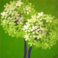 hidden Spring Green Alliums