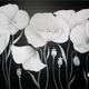 Cotton Poppies