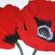 Poppy Duet