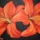 Tiger Lily Twins