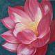 Manjari's Lotus Flower