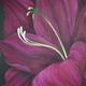 Glorious Gladiolus