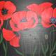 Nikki's Poppies