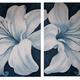 Wistful Lily 1 11