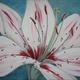 A Lily for Sarah