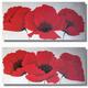 Linen Poppies I 