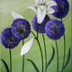 Among the Alliums