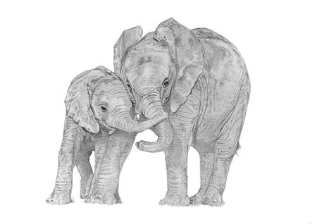 Elephants