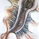 Merged natural forms…