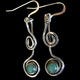 Silver earrings