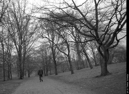 Old man in the Park