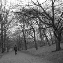 Old man in the Park