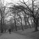Old man in the Park