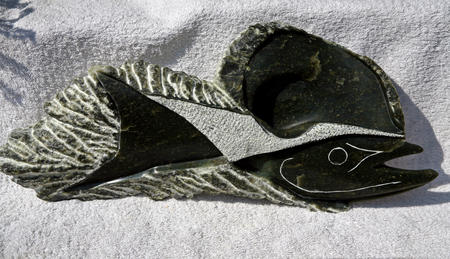 barracuda