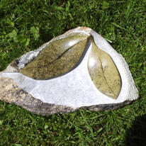 Leaves