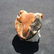 The Jackle