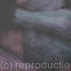 Ardour