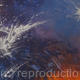 Fireworks:- Prints Only