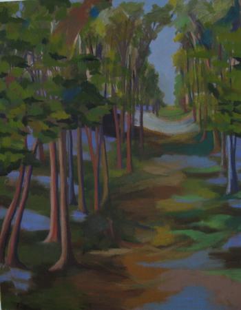 Bluebell Walk