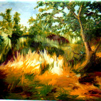 After the Hurricane