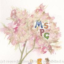 Logo designed for Mayfield Salisbury Playgroup, Edinburgh