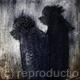 Twilight Couple
