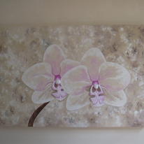 Pale Orchids