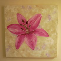 Cerise orchid series