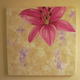 Cerise orchid series | (sold) | 90 x 90cm | Acrylic on canvas Cerise orchid series