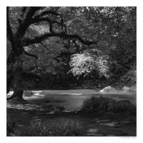 Afon Dwyfor 1